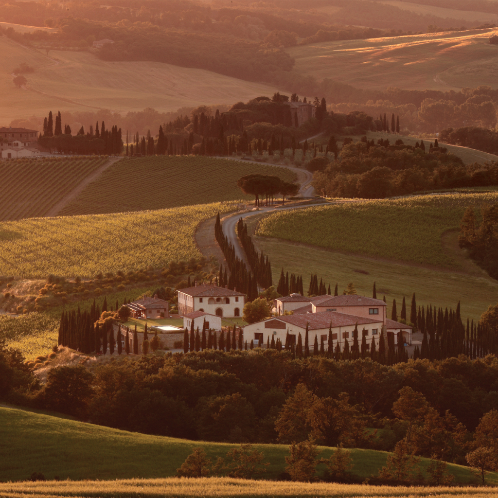 Product image for Caparzo Brunello di Montalcino