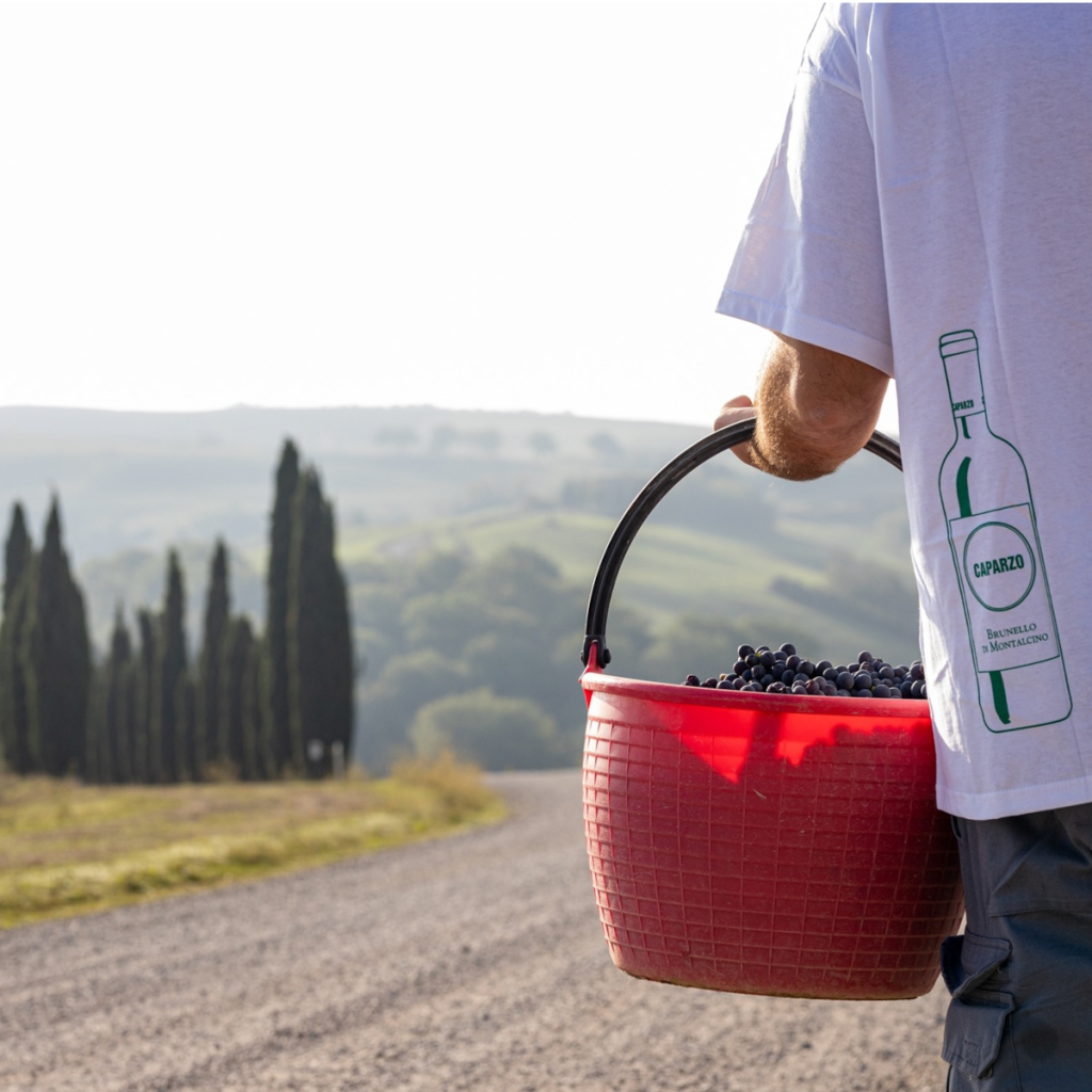 Product image for Caparzo Brunello di Montalcino