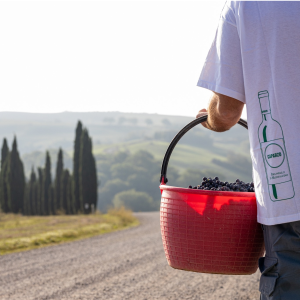 Product image for Caparzo Brunello di Montalcino