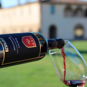 Product image for Caparzo Sangiovese