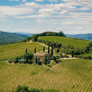 Product image for Caparzo Sangiovese