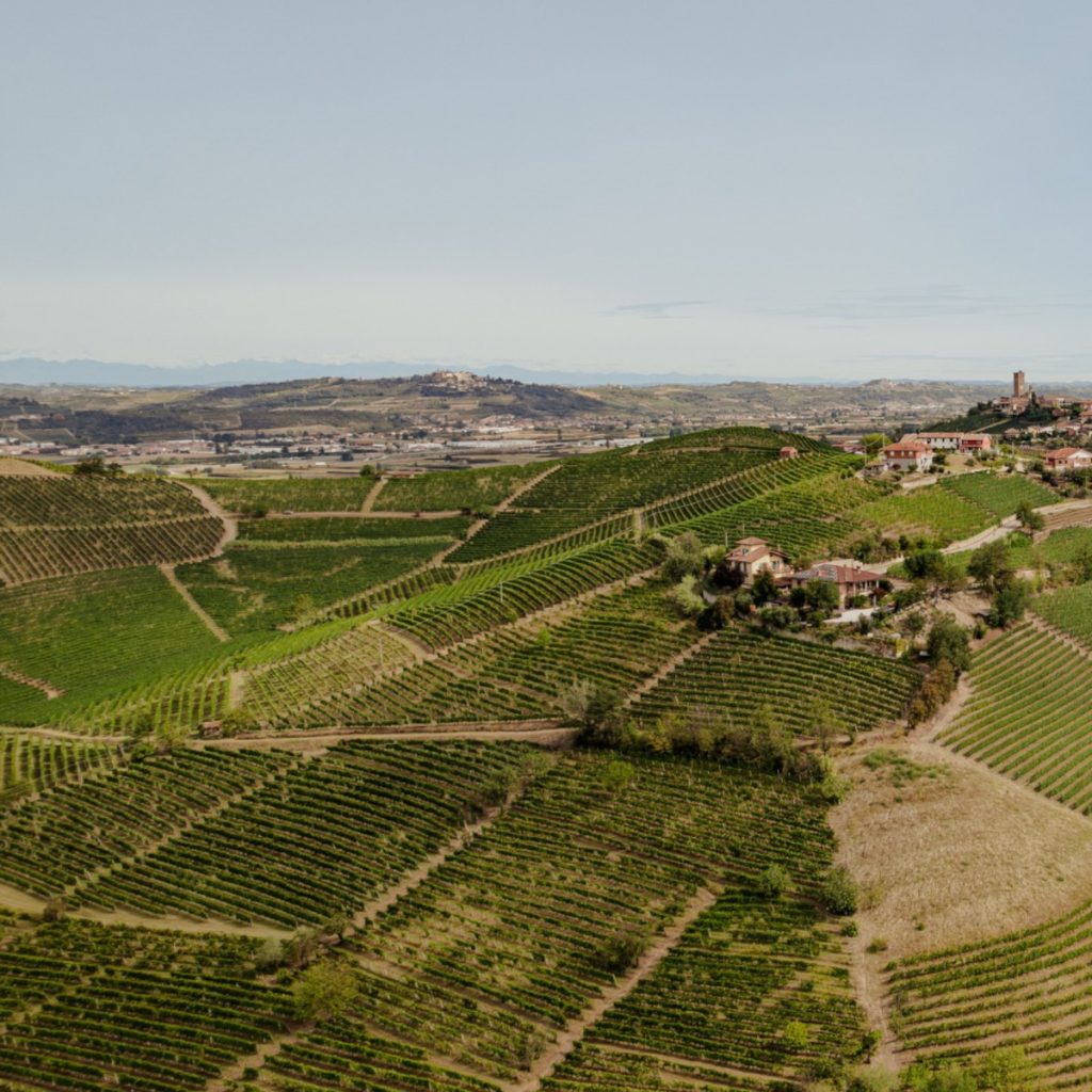 Product image for Michele Chiarlo Barbera d'Asti Superiore Le Orme