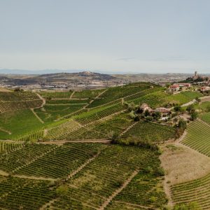 Product image for Michele Chiarlo Barbera d'Asti Superiore Le Orme