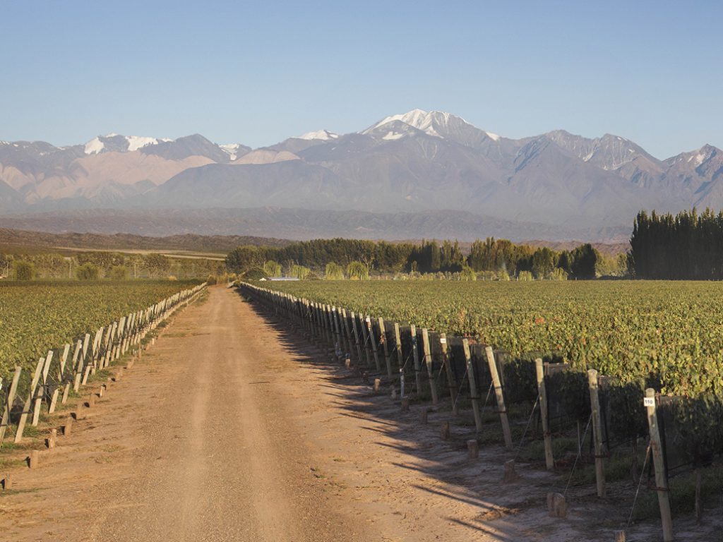 Product image for Chakana Nuna Malbec