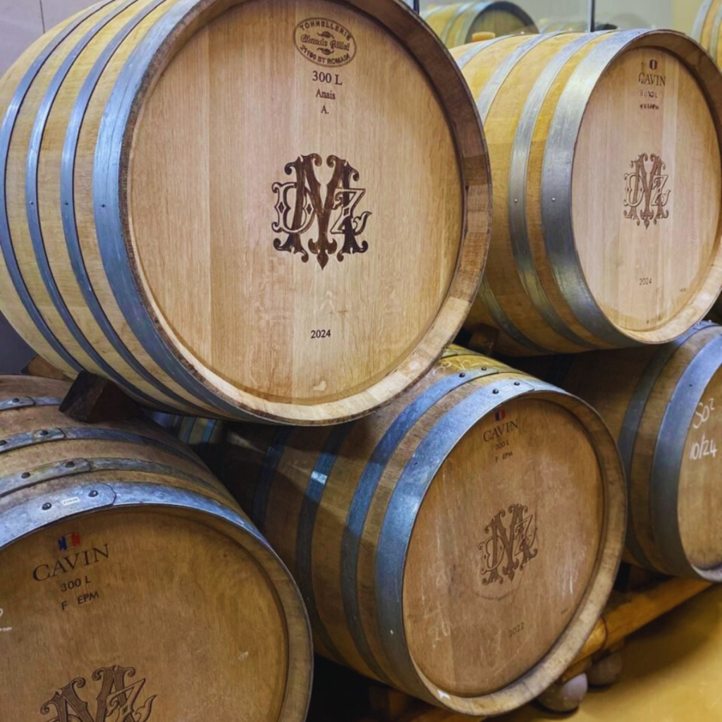 Product image for DeMorgenzon Reserve Chenin Blanc