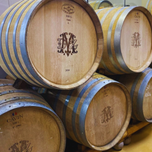 Product image for DeMorgenzon Reserve Chenin Blanc