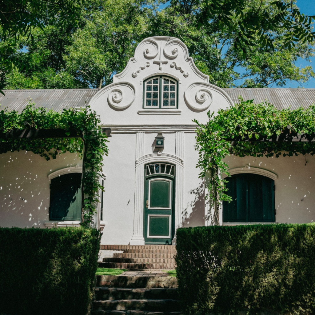 Product image for DeMorgenzon DMZ Chenin Blanc