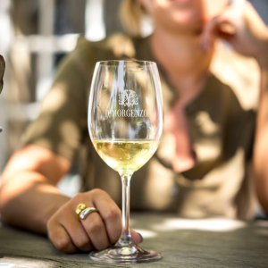 Product image for DeMorgenzon DMZ Chenin Blanc