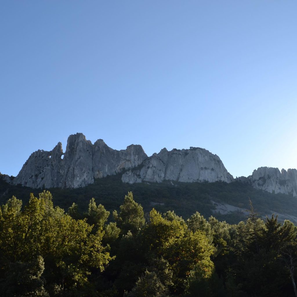 Product image for Saint Cosme Cotes du Rhone