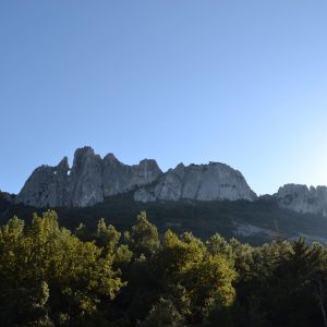 Product image for Saint Cosme Cotes du Rhone