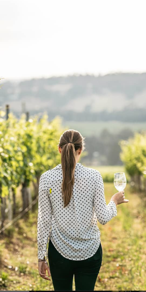 Product image for McGuigan The Brothers Chardonnay