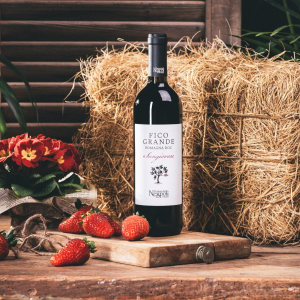 Product image for Poderi Nespoli Fico Grande Sangiovese