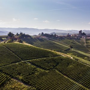 Product image for Fontanafredda Barolo