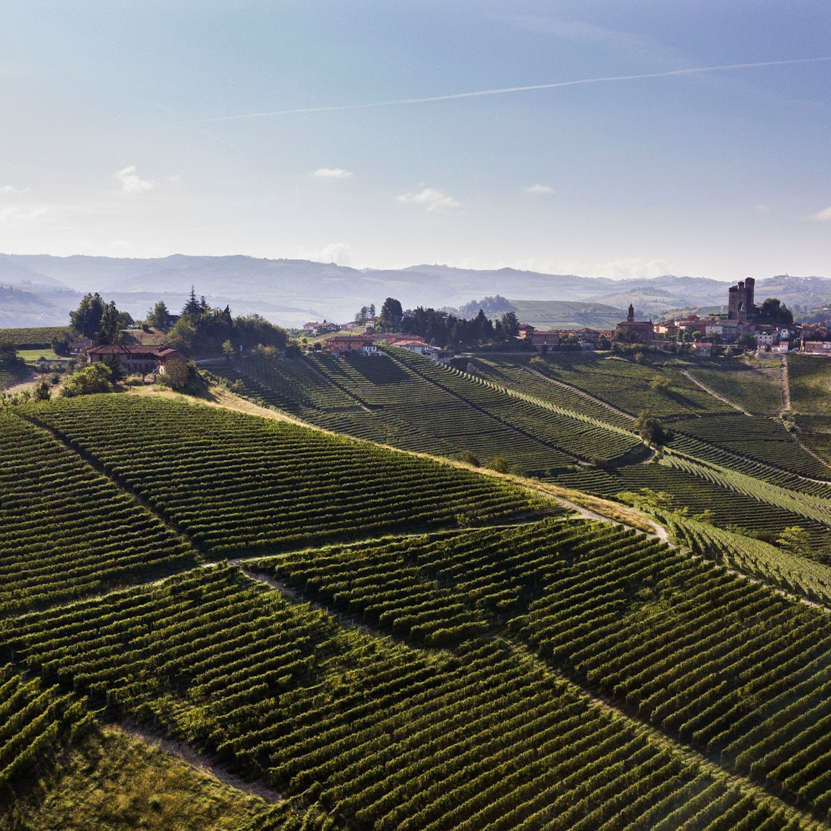 Product image for Fontanafredda Barolo