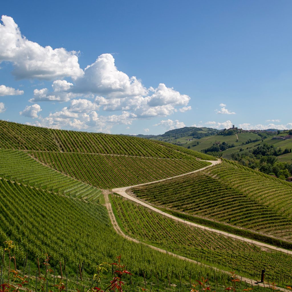 Product image for Fontanafredda Barolo