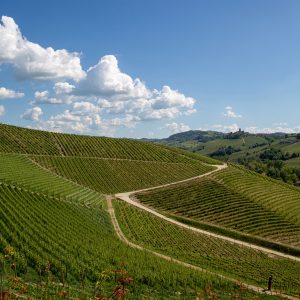 Product image for Fontanafredda Barolo