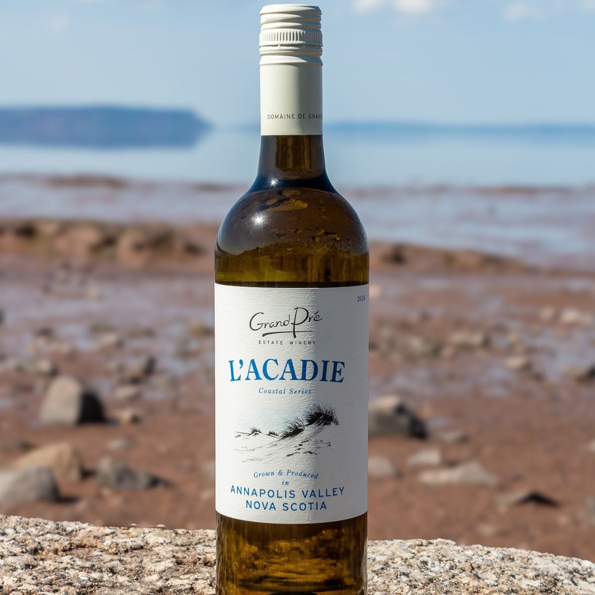 Product image for Grand Pre L'Acadie Blanc