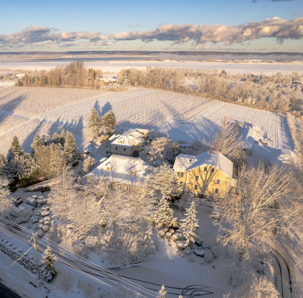 Product image for Grand Pre Vidal Icewine 200ml