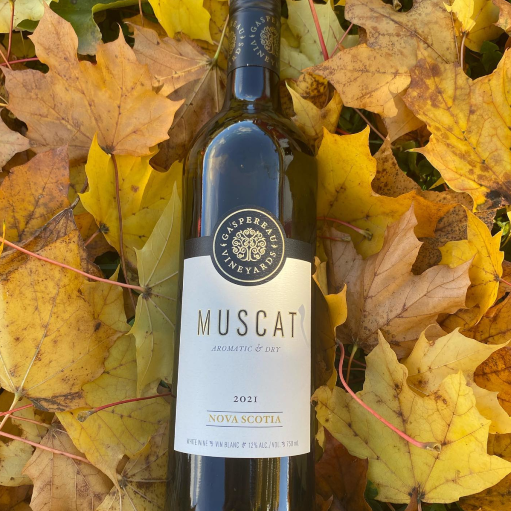 Product image for Gaspereau Muscat