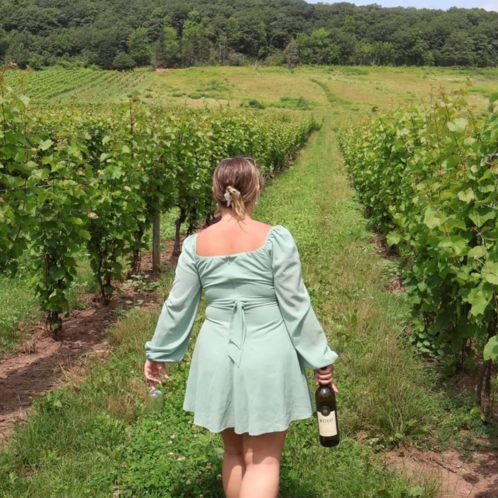 Product image for Gaspereau Muscat