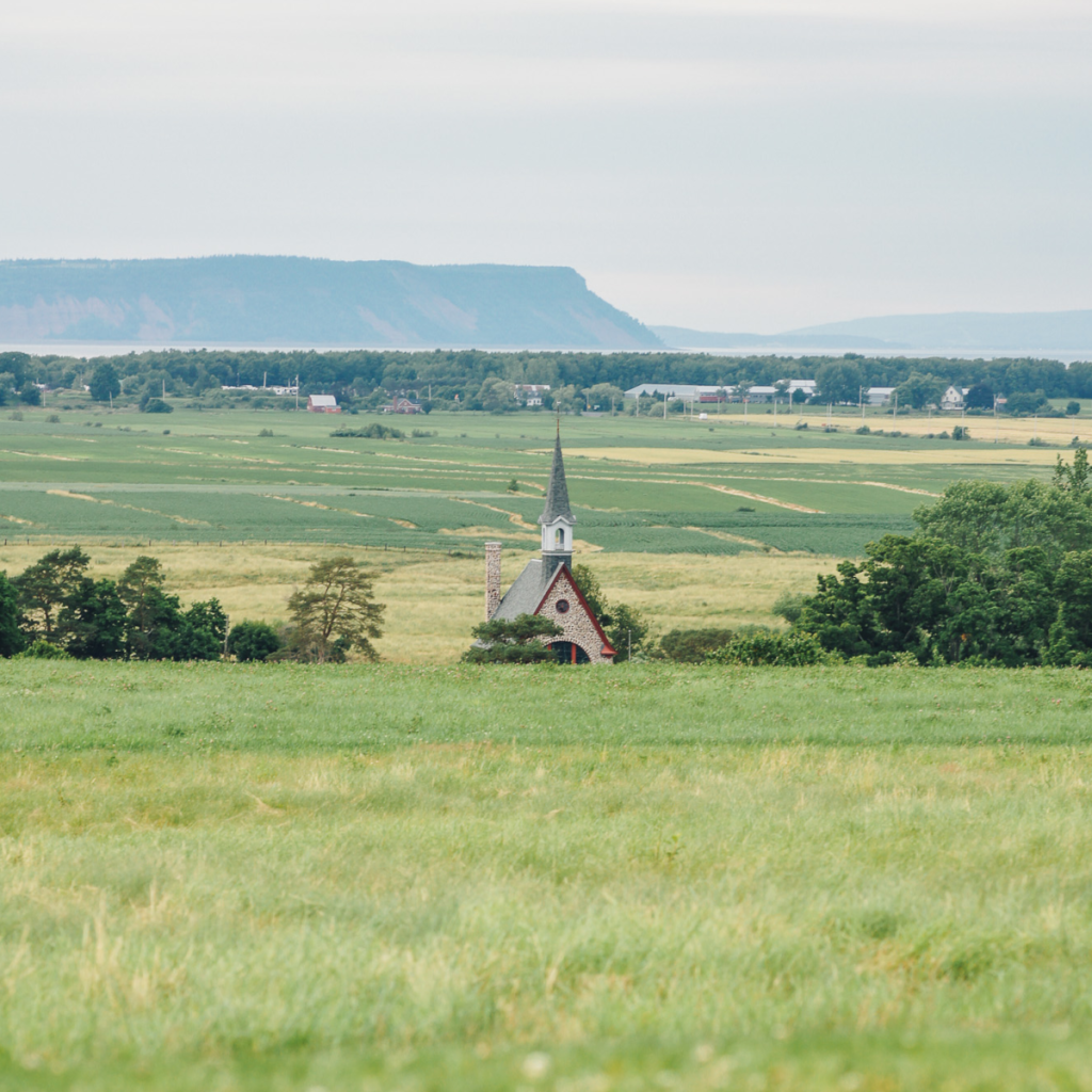 Product image for Grand Pre L'Acadie Blanc