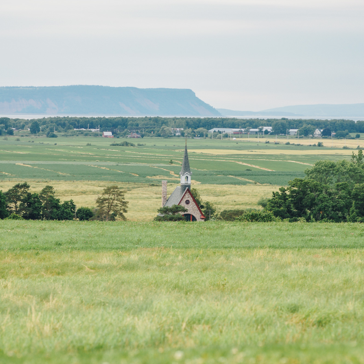 Product image for Grand Pre Riesling