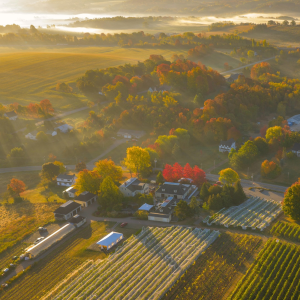 Product image for Grand Pre Riesling
