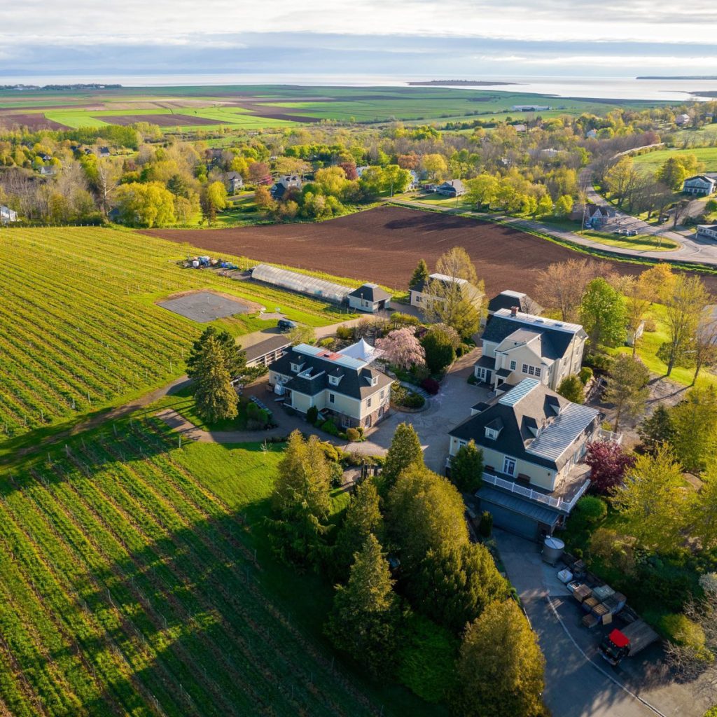 Product image for Grand Pre L'Acadie Blanc