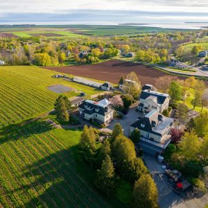 Product image for Grand Pre L'Acadie Blanc