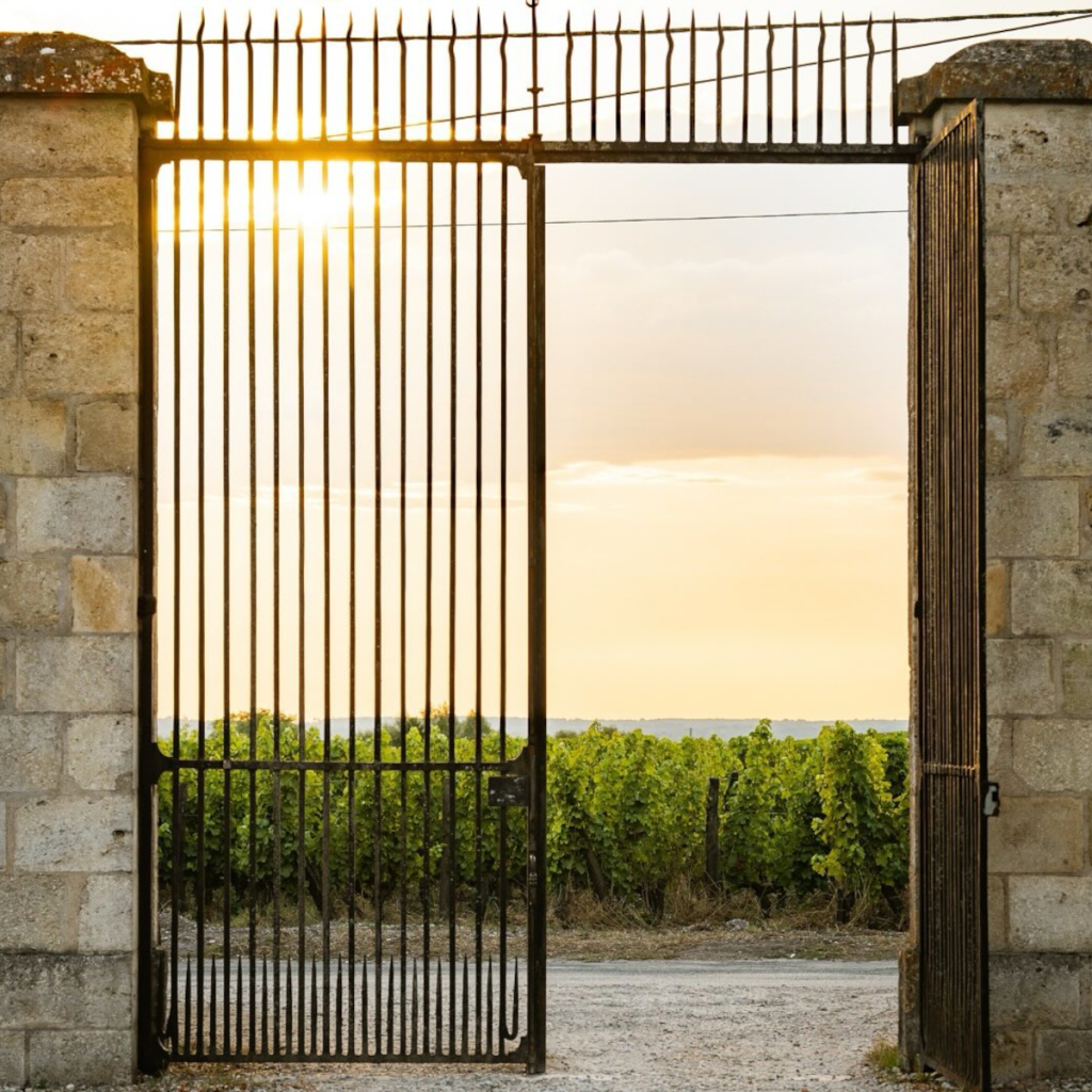 Product image for Chateau Guiraud Blanc Sec