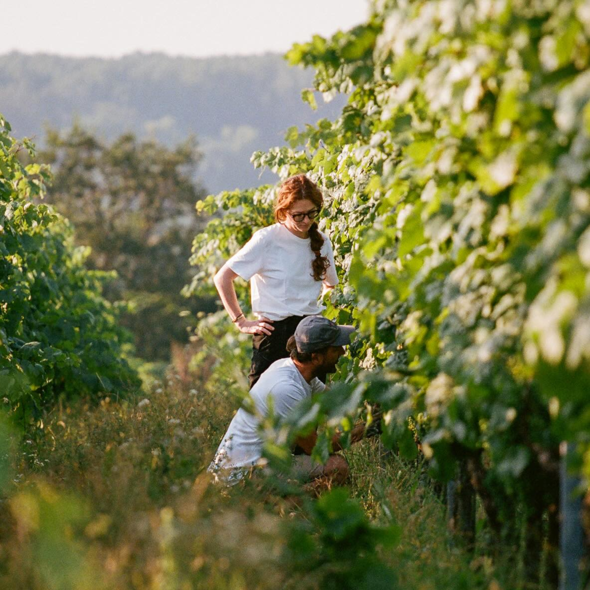 Product image for Gut Oggau Atanasius