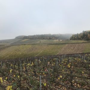 Product image for Lavantureux Chablis
