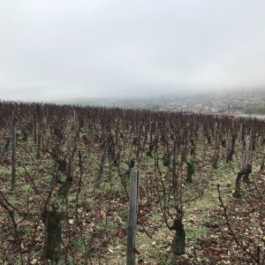 Product image for Lavantureux Chablis