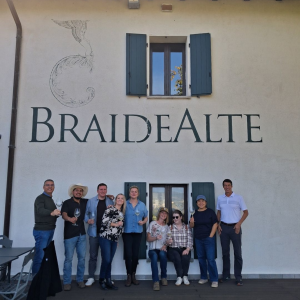 Product image for Livon Braide Alte