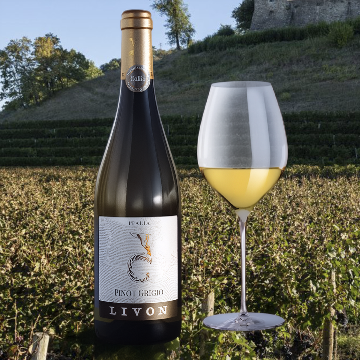 Product image for Livon Pinot Grigio
