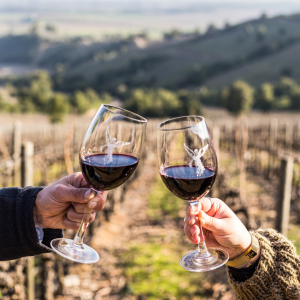 Product image for Montes Alpha Cabernet Sauvignon