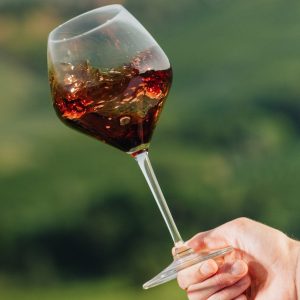 Product image for Michele Chiarlo Il Principe Langhe Nebbiolo