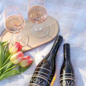 Product image for Benjamin Bridge NOVA 7