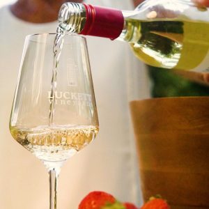 Product image for Luckett Phone Box White