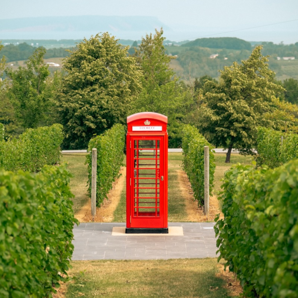 Product image for Luckett Phone Box White