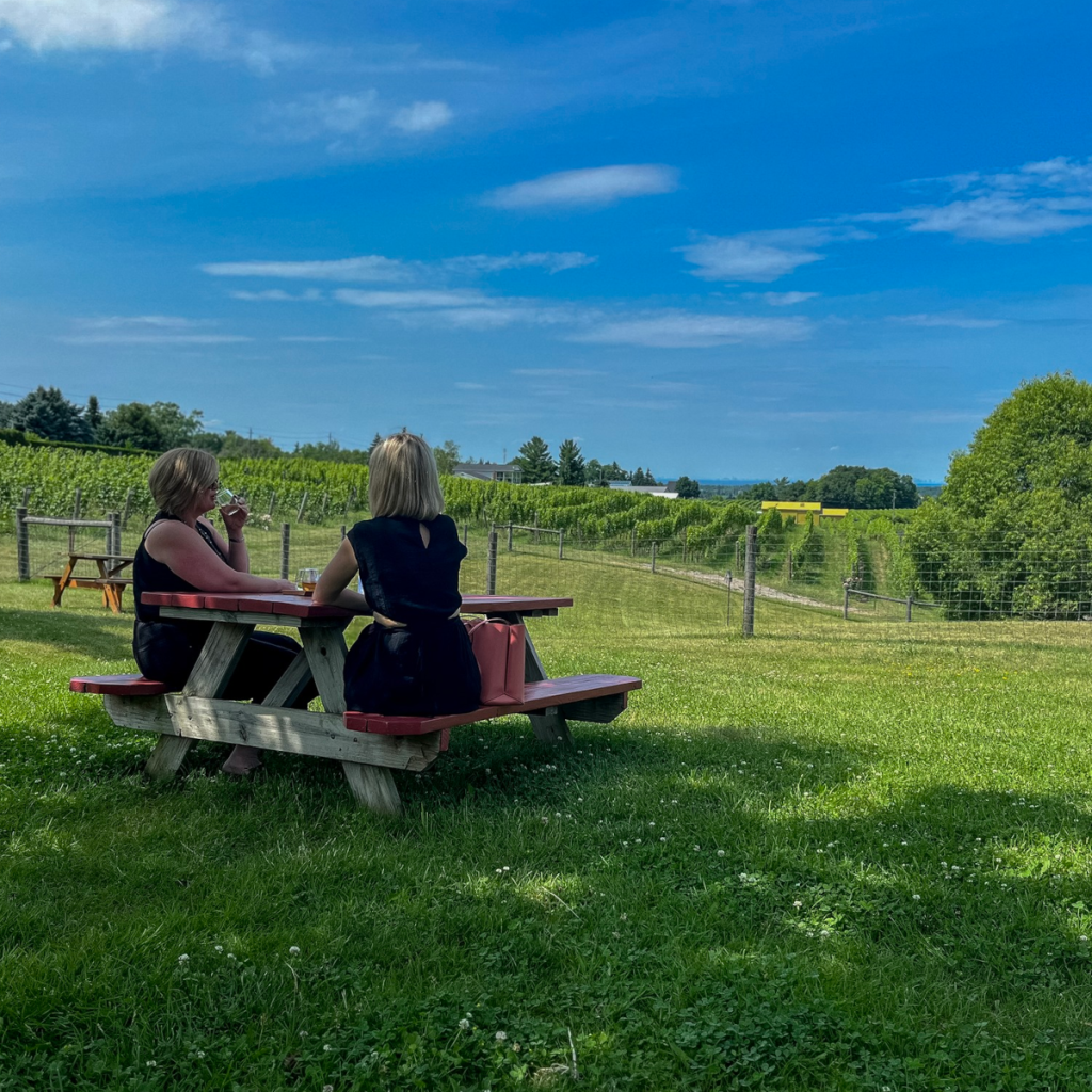 Product image for Tawse Chardonnay