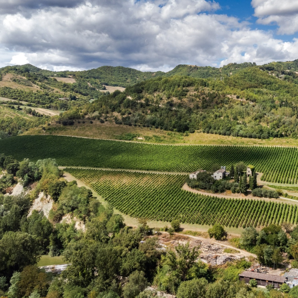 Product image for Poderi Nespoli Fico Grande Sangiovese