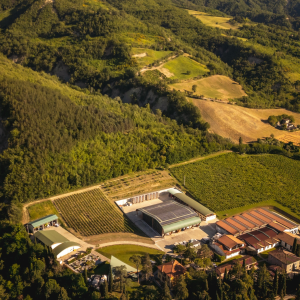 Product image for Poderi Nespoli Le Coste Trebbiano