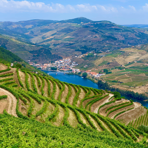 Product image for Aveleda Vinho Verde