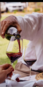 Product image for Two Hands Tenacity Shiraz