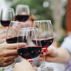 Product image for Jost Great Big Friggin Red