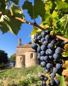 Product image for Saint Cosme Gigondas