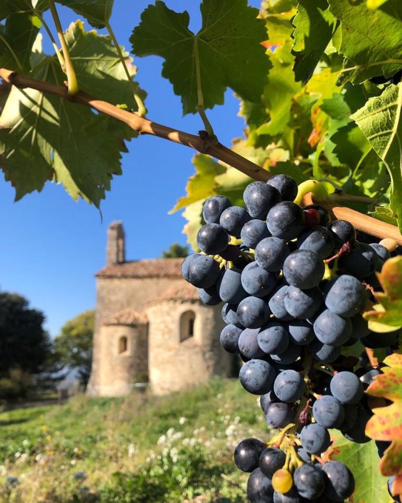 Product image for Saint Cosme Cotes du Rhone