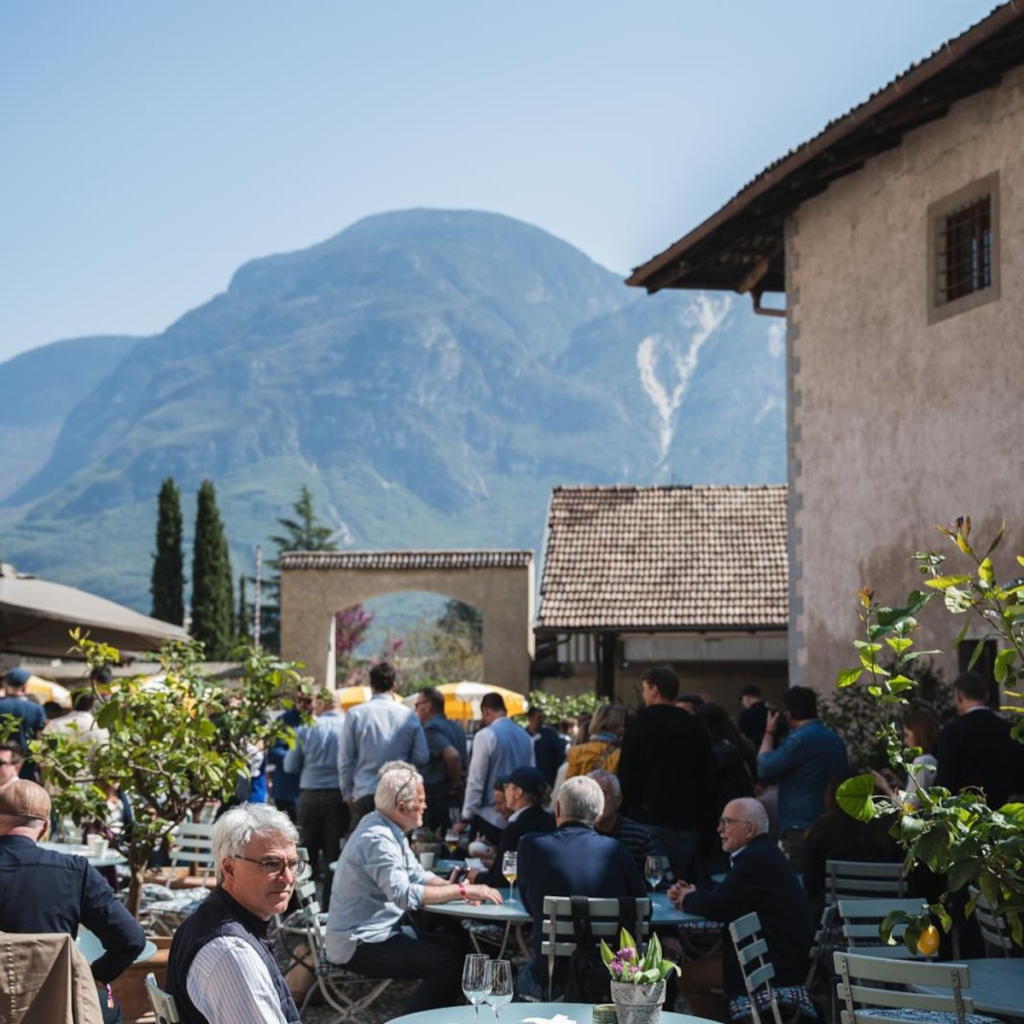 Product image for Riff Terra Alpina Pinot Grigio