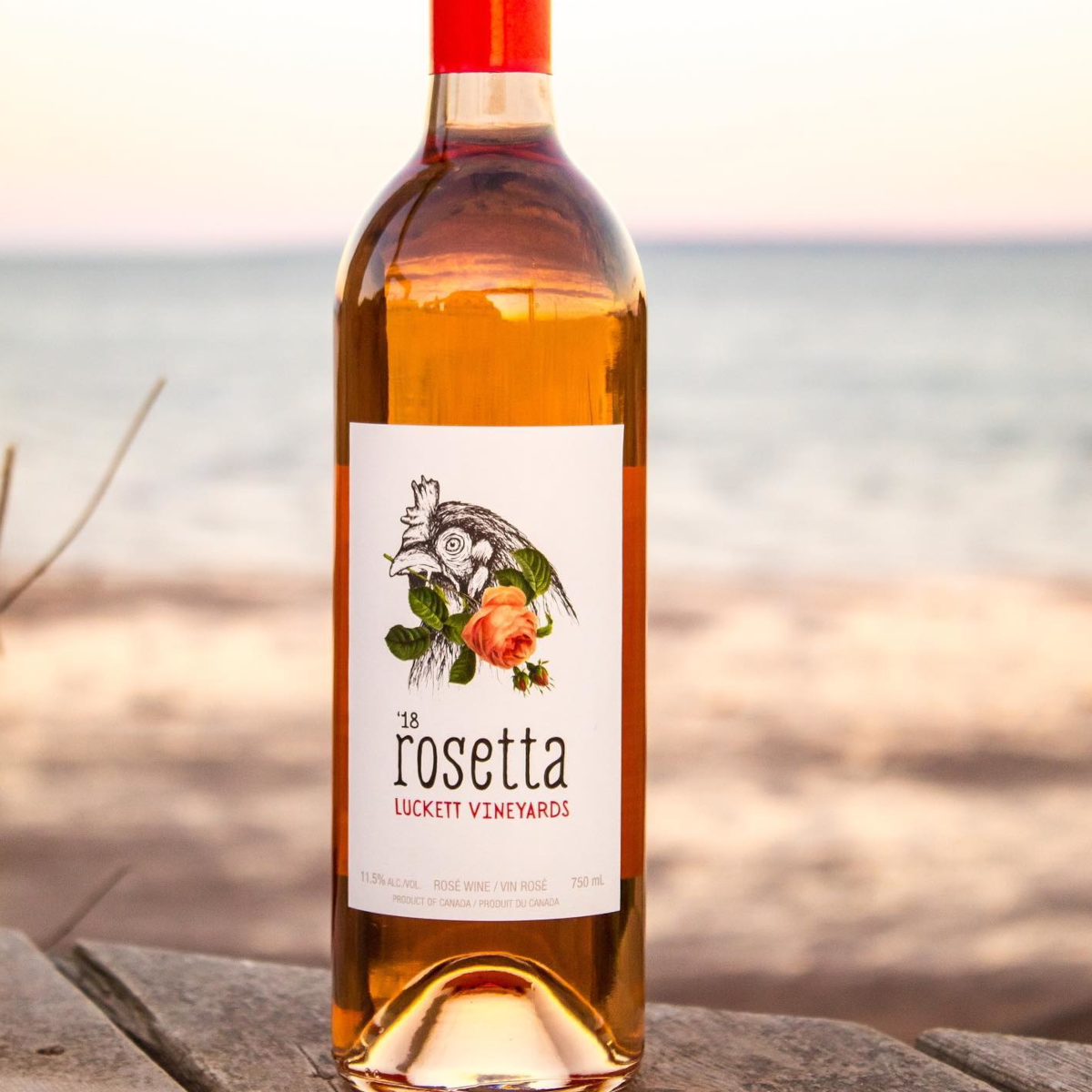Product image for Luckett Vineyards Rosetta